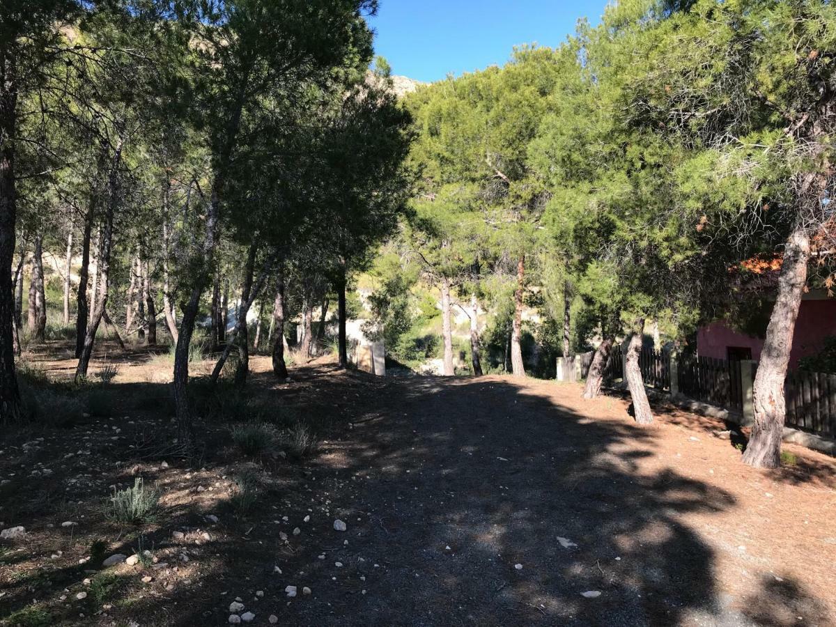 Casas Rurales "Paraje El Cajal" Ojos Luaran gambar