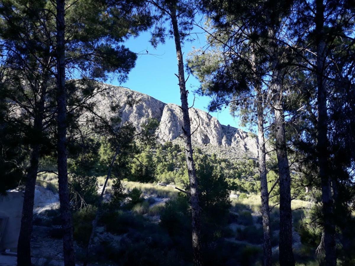 Casas Rurales "Paraje El Cajal" Ojos Luaran gambar